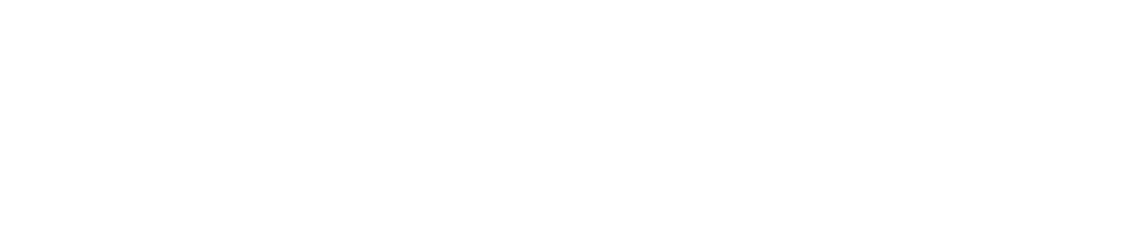 logo-白S